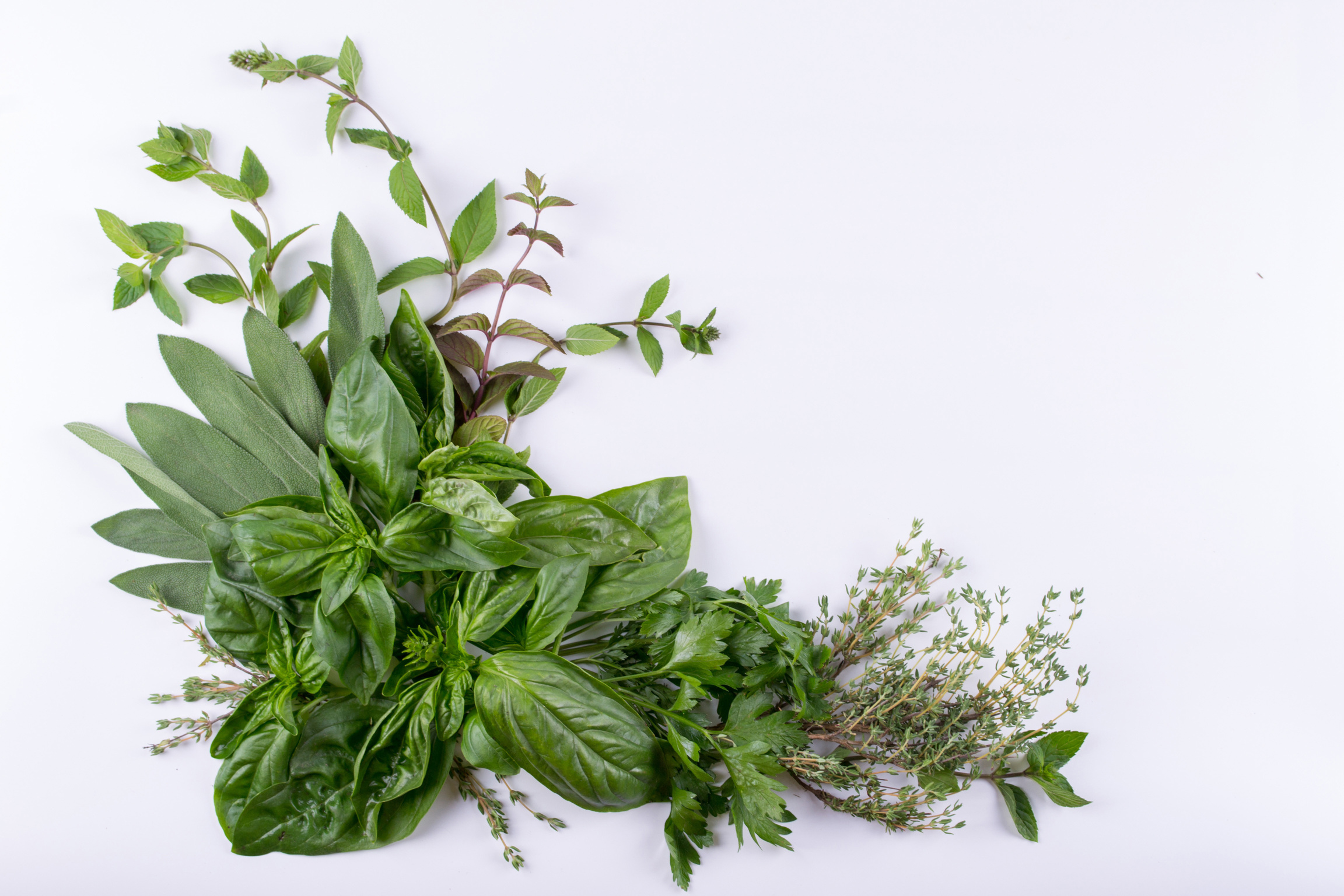 Composition of herbs